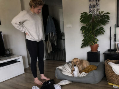hond sloopt schoenen