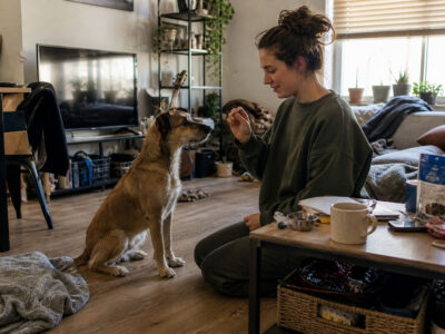 hond training thuis