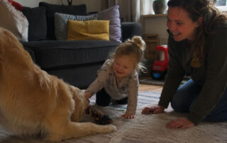 spelen met hond online cursus