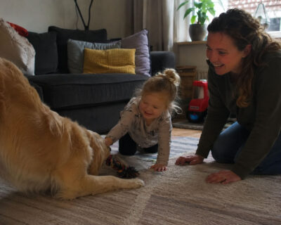 spelen met hond online cursus